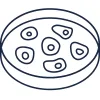 Cells